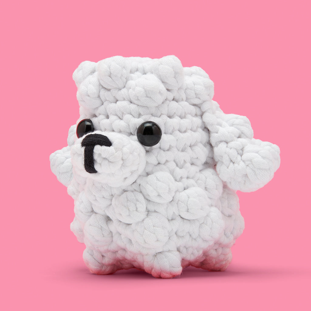Get This Paw-ty Started Bundle